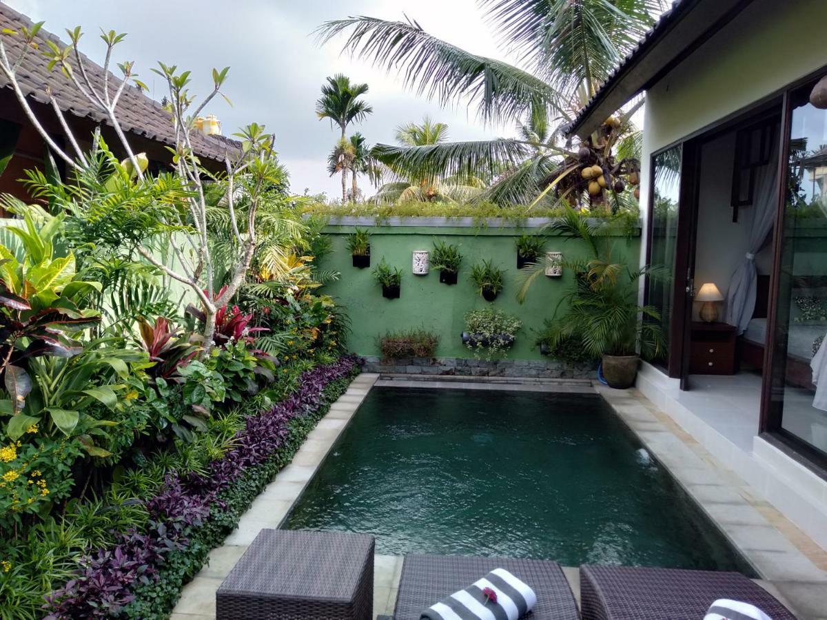 Apartmán Rumah Mini Ubud Exteriér fotografie